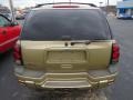 2006 Sandstone Metallic Chevrolet TrailBlazer LS 4x4  photo #14