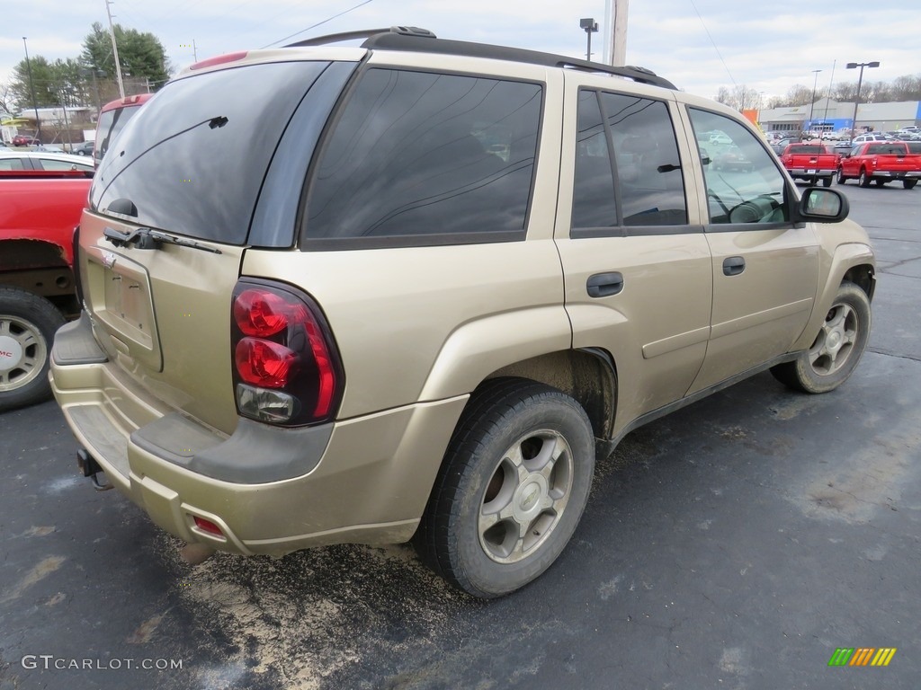 2006 TrailBlazer LS 4x4 - Sandstone Metallic / Light Cashmere/Ebony photo #16