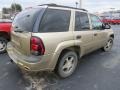 2006 Sandstone Metallic Chevrolet TrailBlazer LS 4x4  photo #16