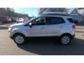 Moondust Silver Metallic - EcoSport SE 4WD Photo No. 4