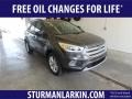 2019 Magnetic Ford Escape SEL 4WD  photo #1