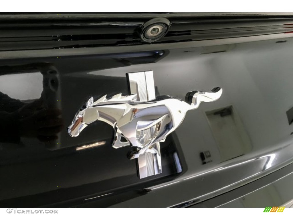 2017 Mustang V6 Convertible - Shadow Black / Ebony photo #25
