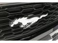 Shadow Black - Mustang V6 Convertible Photo No. 30