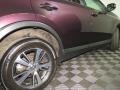 Barcelona Red Metallic - RAV4 XLE AWD Photo No. 19