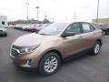 2019 Sandy Ridge Metallic Chevrolet Equinox LS  photo #1