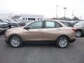 2019 Sandy Ridge Metallic Chevrolet Equinox LS  photo #2