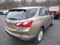 2019 Sandy Ridge Metallic Chevrolet Equinox LS  photo #5