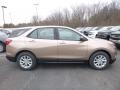 2019 Sandy Ridge Metallic Chevrolet Equinox LS  photo #6