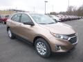 2019 Sandy Ridge Metallic Chevrolet Equinox LS  photo #7