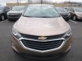 2019 Sandy Ridge Metallic Chevrolet Equinox LS  photo #8
