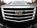 Black Raven - Escalade ESV Luxury 4WD Photo No. 9