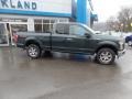 2015 Green Gem Metallic Ford F150 XLT SuperCab 4x4  photo #11