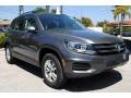 Panther Gray Metallic - Tiguan S Photo No. 2