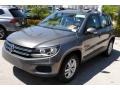Panther Gray Metallic - Tiguan S Photo No. 4