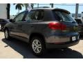Panther Gray Metallic - Tiguan S Photo No. 7