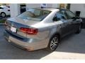 Platinum Gray Metallic - Jetta SE Photo No. 9