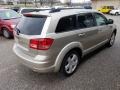 2009 Light Sandstone Metallic Dodge Journey SXT AWD  photo #4