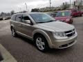 Light Sandstone Metallic - Journey SXT AWD Photo No. 5