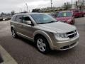 2009 Light Sandstone Metallic Dodge Journey SXT AWD  photo #5