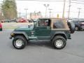 Forest Green Pearl - Wrangler Sahara 4x4 Photo No. 9