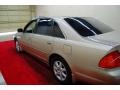 Desert Sand Metallic - Avalon XLS Photo No. 9