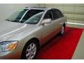Desert Sand Metallic - Avalon XLS Photo No. 12