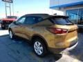 Sunlit Bronze Metallic - Blazer 2.5L Cloth Photo No. 5