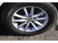 White Knuckle - Grand Caravan SXT Photo No. 21