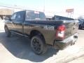 Diamond Black Crystal Pearl - 2500 Bighorn Crew Cab 4x4 Photo No. 3