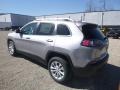 Billet Silver Metallic - Cherokee Latitude Photo No. 3