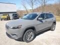 Sting-Gray - Cherokee Latitude Plus 4x4 Photo No. 1
