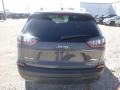 Sting-Gray - Cherokee Latitude Plus 4x4 Photo No. 4