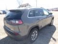 Sting-Gray - Cherokee Latitude Plus 4x4 Photo No. 5