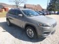 Sting-Gray - Cherokee Latitude Plus 4x4 Photo No. 7