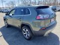 2019 Olive Green Pearl Jeep Cherokee Limited 4x4  photo #4