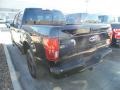 Agate Black - F150 XLT SuperCrew 4x4 Photo No. 3