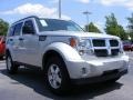 Bright Silver Metallic - Nitro SE Photo No. 4