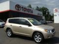 Savannah Metallic - RAV4 4WD Photo No. 1