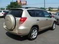 Savannah Metallic - RAV4 4WD Photo No. 3
