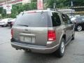 2002 Mineral Grey Metallic Ford Explorer Limited 4x4  photo #4