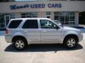 2005 Silver Metallic Ford Escape Limited 4WD  photo #1