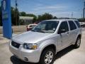 Silver Metallic - Escape Limited 4WD Photo No. 4