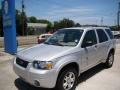 2005 Silver Metallic Ford Escape Limited 4WD  photo #4