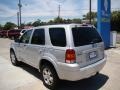 2005 Silver Metallic Ford Escape Limited 4WD  photo #6