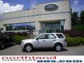 2009 Brilliant Silver Metallic Ford Escape XLS  photo #1