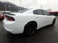 White Knuckle - Charger SE Photo No. 2