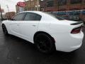 White Knuckle - Charger SE Photo No. 4