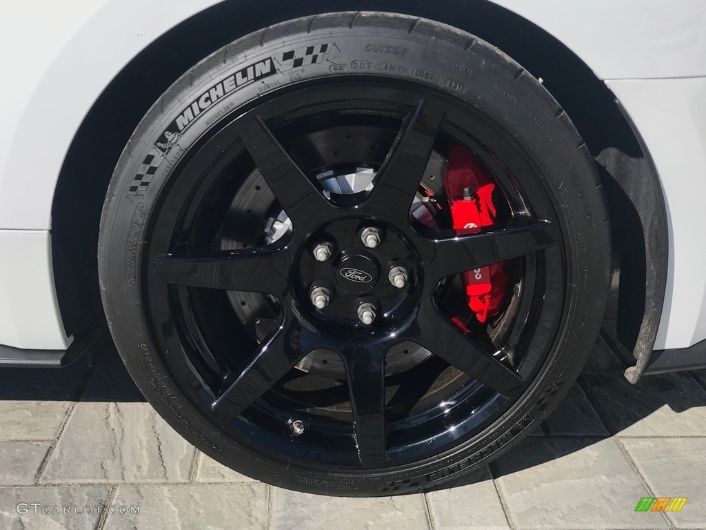 2016 Ford Mustang Shelby GT350R Wheel Photo #132629484