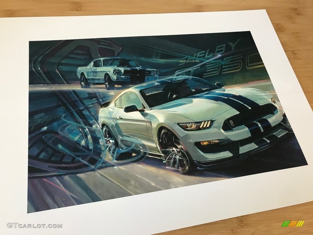 2016 Ford Mustang Shelby GT350R Books/Manuals Photo #132630129