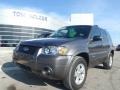 2006 Dark Shadow Grey Metallic Ford Escape Hybrid 4WD  photo #1